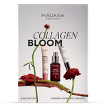 Coffret Collagen Bloom 1