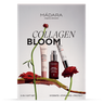 Coffret Collagen Bloom 1