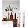Coffret Collagen Bloom