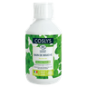 Mint Mouthwash 0