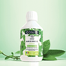 Mint Mouthwash 1
