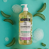 Aloe Vera Familie Shampoo 1