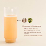 Anti-Misselijkheid Supplement Bye Bye Nausea (gember) 2
