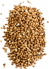 Buckwheat in bulk Organic