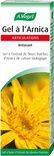 Arnica Gel 0