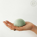 Konjac Hydratante Aloe Vera Toutes Peaux 0