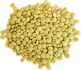 Lentilles Vertes en vrac 0