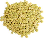 Green Lentils in bulk 0