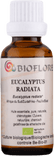 Eucalyptus Radiata Essentiële Olie 0