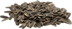 Sunflower Seeds in bulk 0