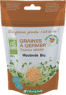 Moutarde À Germer 0