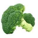 Brocoli (1 pièce)