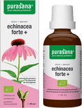 Echinacea forte + 0