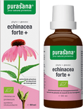 Echinacea forte + 0