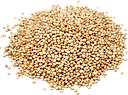 Quinoa blanc Origine France en vrac 0