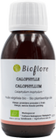 Virgin Inophyllum Calophylle Oil Organic
