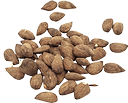 Amandes au tamari en vrac 0