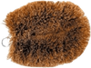 Coconut Bristle Brush