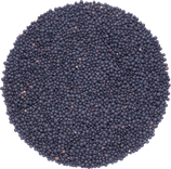 Lentilles Noires Beluga en vrac 0