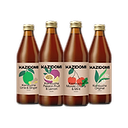 Biologische Kombucha Pakket