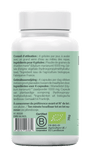 Chardon Marie (santé du foie, détox, élimination) 1