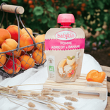 Apple Apricot Banana Pouches from 6 months 1