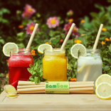 Pack 12 Bamboo Straws 22cm 1