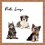Shampooing solide et vegan poils Longs pour chien 60ml 1