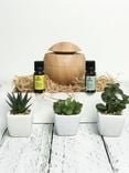 Huile Essentielle Ylang Ylang 1