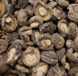 Shiitake 1