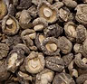 Shiitake 1