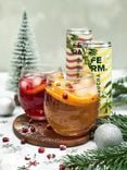 Kombucha Cassis Myrtille 1