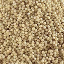 Millet 1
