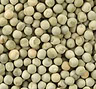 Pea Sprouts 1