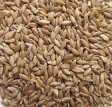 Small Spelt Organic 1