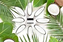 Natural Deodorant Cotton Fresh 1