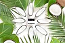 Natural Deodorant Cotton Fresh 1