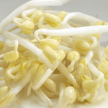 Mung Bean & Green Soy Kiemzaden 1
