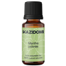 Peppermint Essential Oil 1