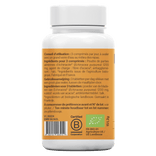 Echinacea 1