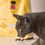 Croquette Insectes Sans Céréales Chat 2.5kg 1