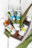 Dentifrice À L'Aloe Vera 1
