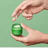CBD Hydrating Face Cream 2