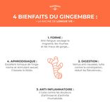 Ginger Concentrate 1
