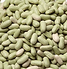 Flageolet Beans 1