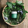 Purifying Green Spa Mask 2