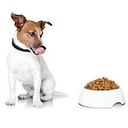 Complete Dog Food Medium & Large Breed 2