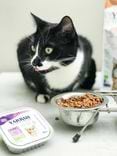 Tray Cat Bites Chicken & Turkey 2