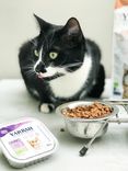 Tray Cat Bites Chicken & Turkey 2