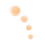 Zuiverende Actieve Ingrediënten Lotion 2